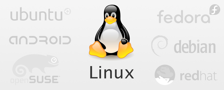 Wir bieten zertifizierten Support für Linux, egal ob openSUSE, fedora, Red Hat, Debian, Ubuntu oder Android