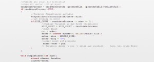 Programmierung von Individual-Software